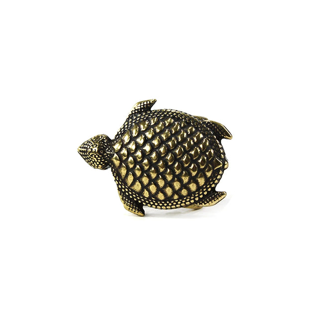 hebilla cinturon tortuga texturizada laton dorado dorado vista frontal — CJ3454/3