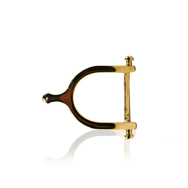 cinturón de piel dorado para unisex dorado vista frontal — CJ63797/3